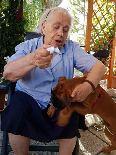 Ospite della casa di riposo con un cane
