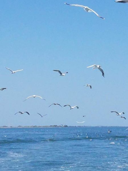 Gita al mare