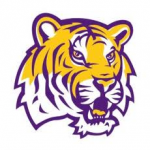 Purple-and-gold tiger head mascot logo on a white background