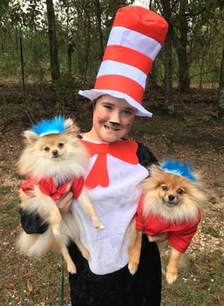 Pomeranian Cat in Hat costume