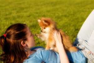 2 month old Pomeranian