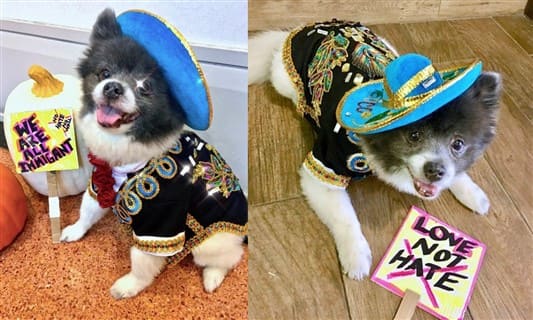 Pomeranian immigrant costume