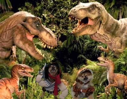 Pomeranian dinosaur costume