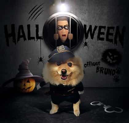 Pomeranian Halloween cop costume