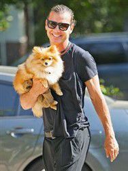 Gavis Rossdale Pomeranian, singer of Bush
