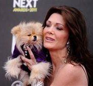 Lisa-Vanderpump-Pomeranian