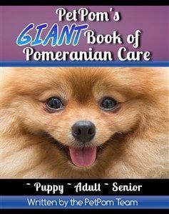 PetPom's GIANT Book of Pomeranian Care