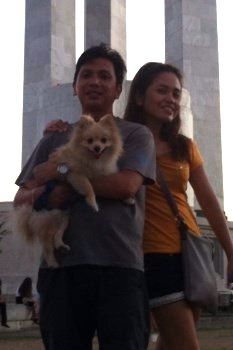 Pomeranian in the Philippines