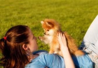 child holding Pomeranian