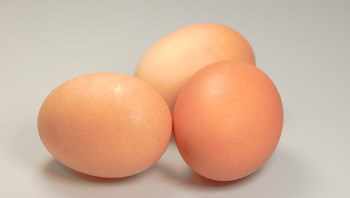 whole eggs