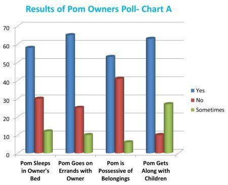 Pomeranian personality poll