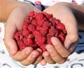 raspberries