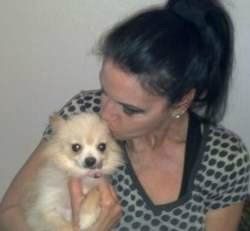 Pomeranian rescue owner holding Pom