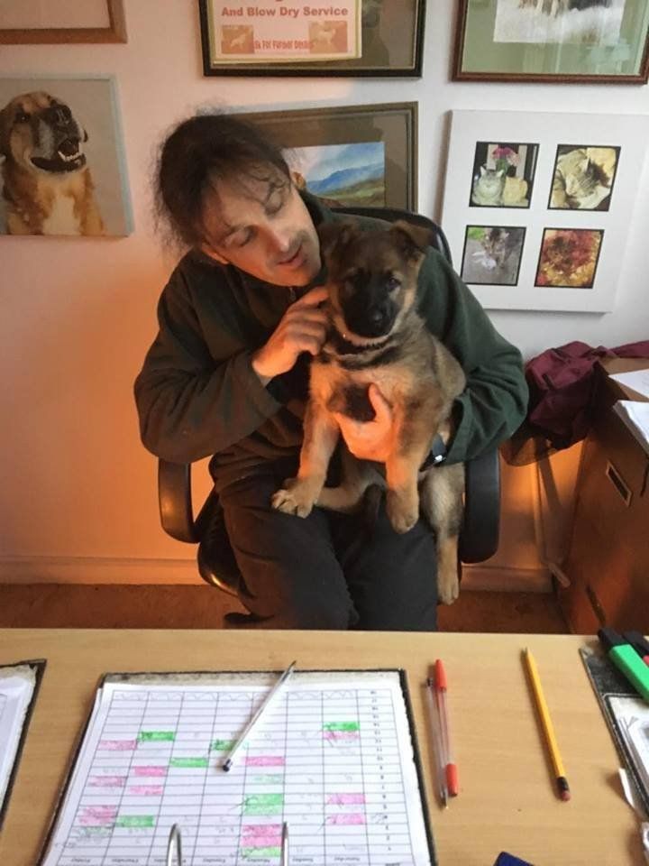dog caretaker