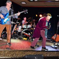 stray cat lounge live music