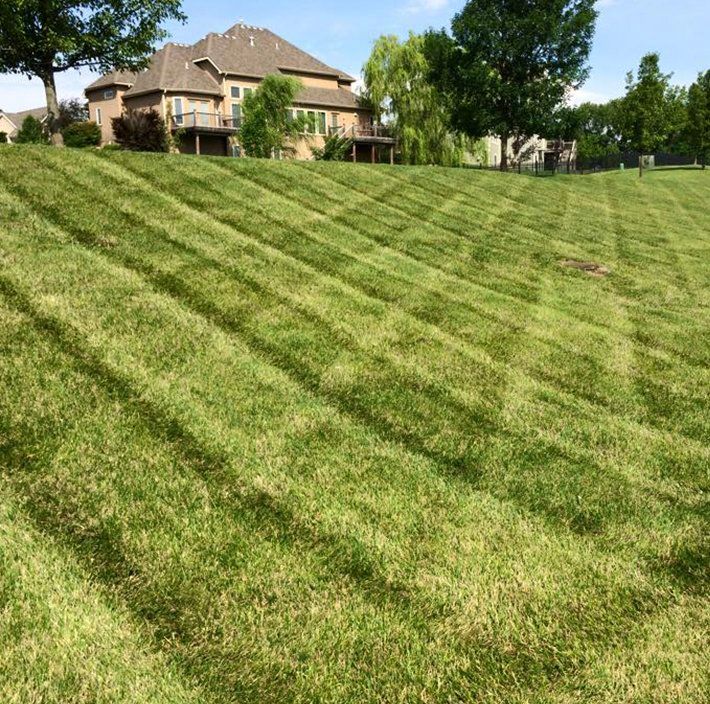 A lush green field of grass with a house in the background.