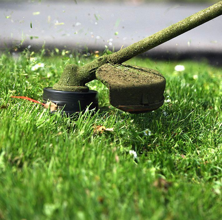 A person is using a lawn mower to cut the grass.