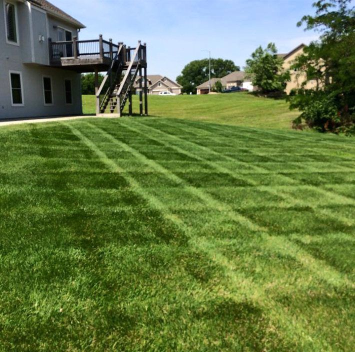 A lush green lawn with a house in the background