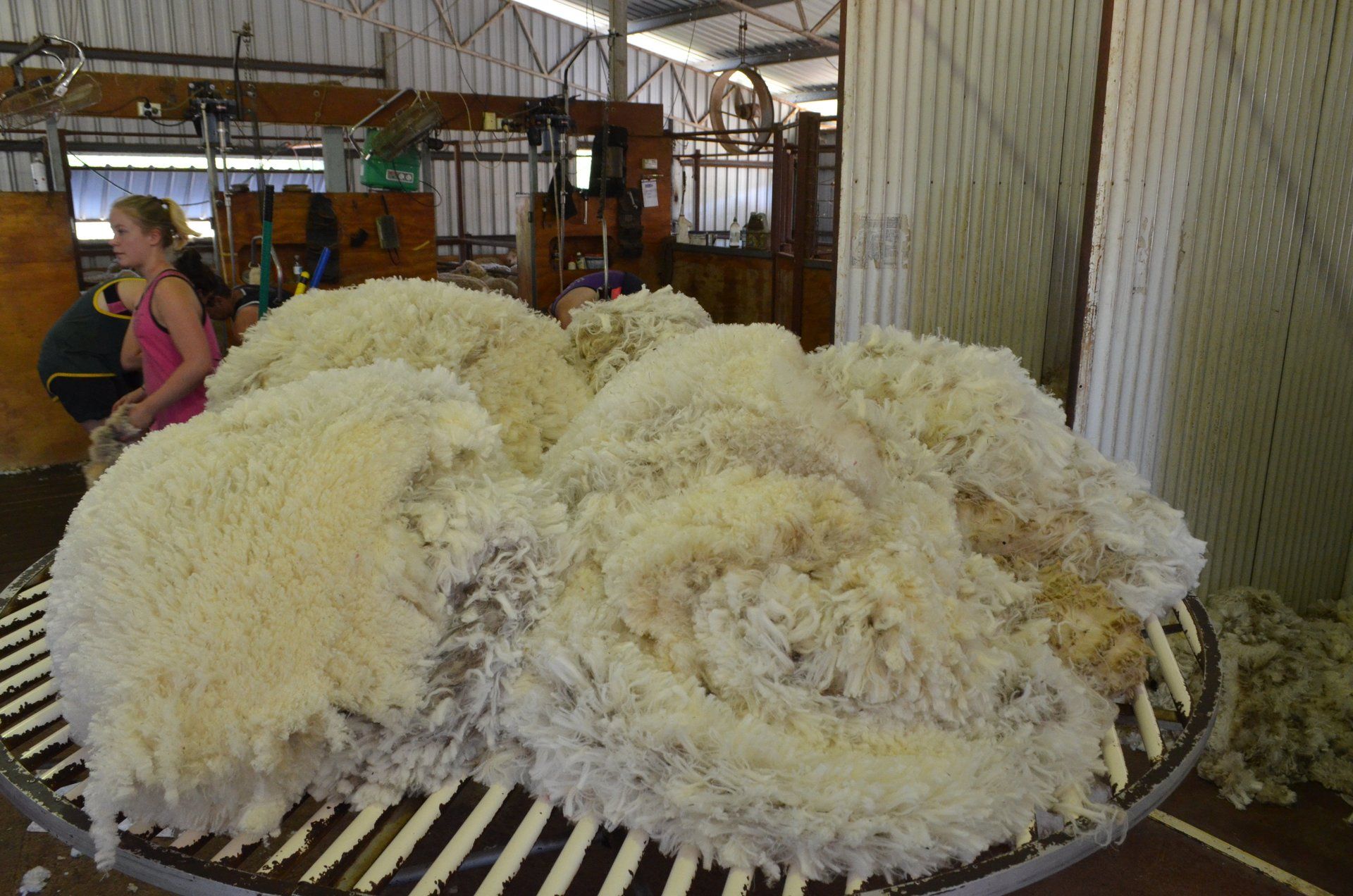 Fleece multiple