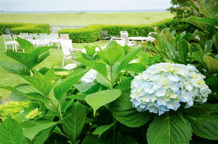 Functions
 - Joseph's by the Sea | Old Orchard Beach, ME