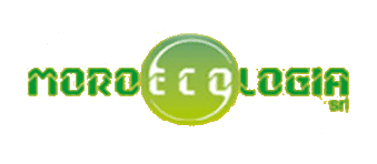 MORO ECOLOGIA Srl- LOGO