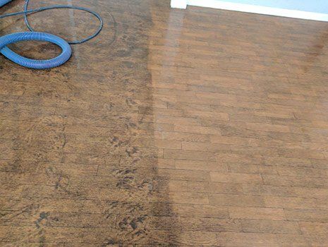 Wood Floor Cleaning — Terre Haute, IN — Chuck’s Deep Clean Carpets Wood Floor Cleaning — Terre Haute, IN — Chuck’s Deep Clean Carpets