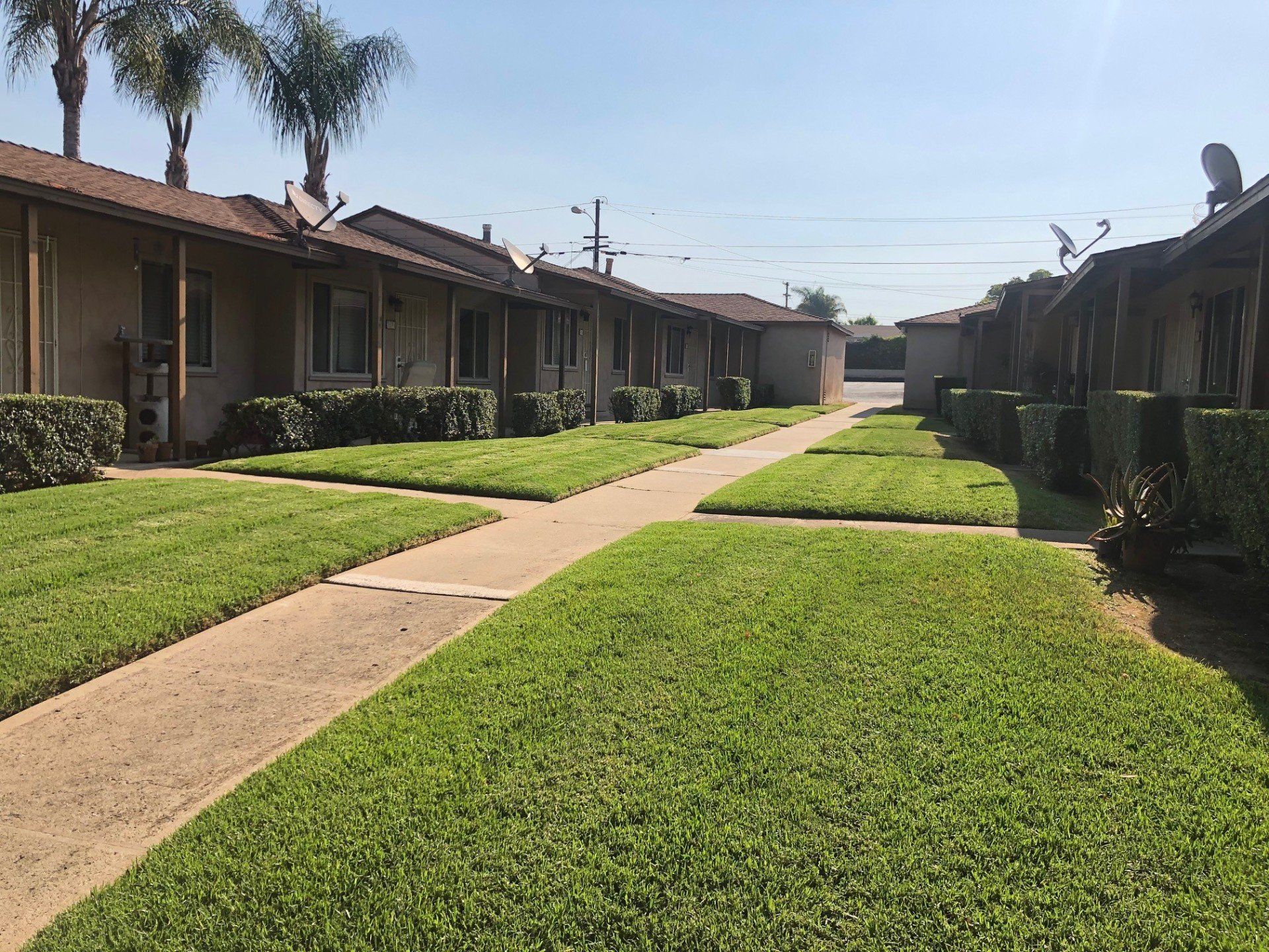 green ranch exterior