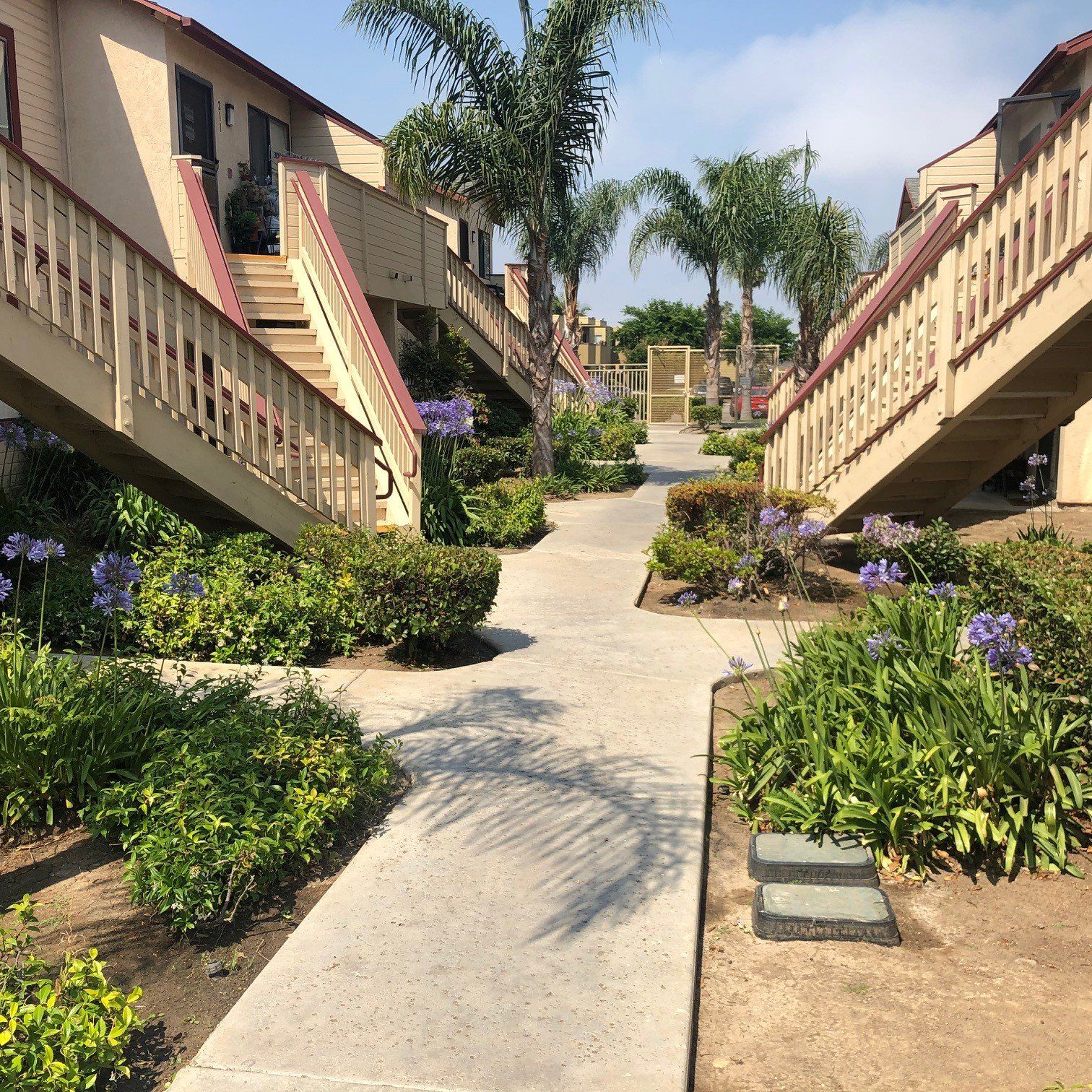meadows exterior