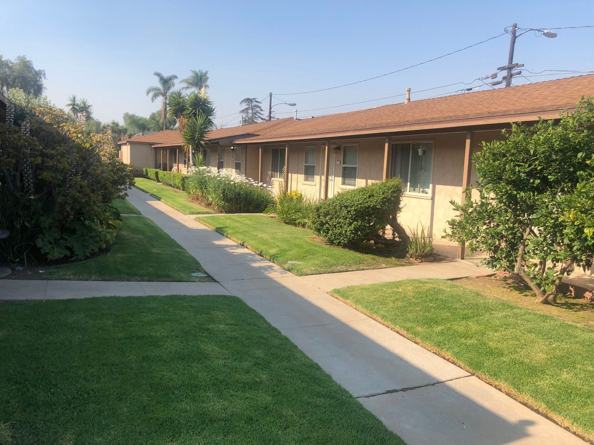 green ranch exterior