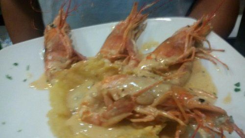 primo a base di scampi