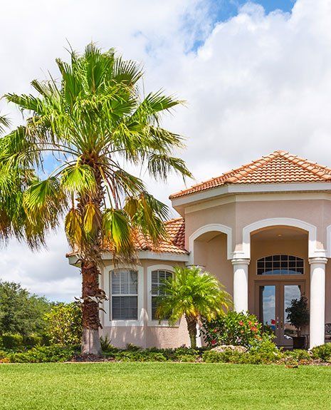 Palm Tree Removal — House with Palm Tree in Las Vegas, NV Palm Tree Removal — House with Palm Tree in Las Vegas, NV