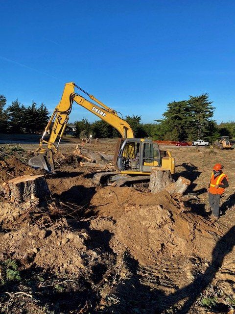Yellow excavator removing tree stump; worker in safety vest watches on a sunny day.