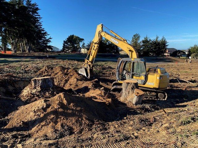 Yellow excavator digging dirt around a tree stump in a field. Blue sky and trees in the background.