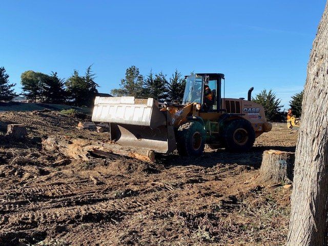 A front-end loader on a cleared lot with tree stumps, moving debris. Sunny day.