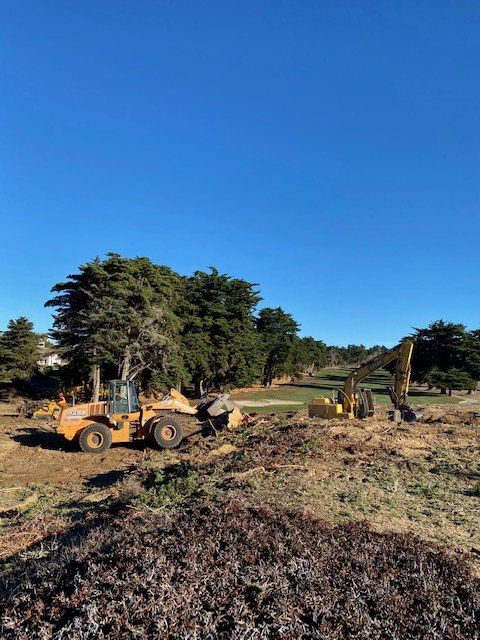 Construction equipment on a golf course under a clear blue sky, removing trees and debris.