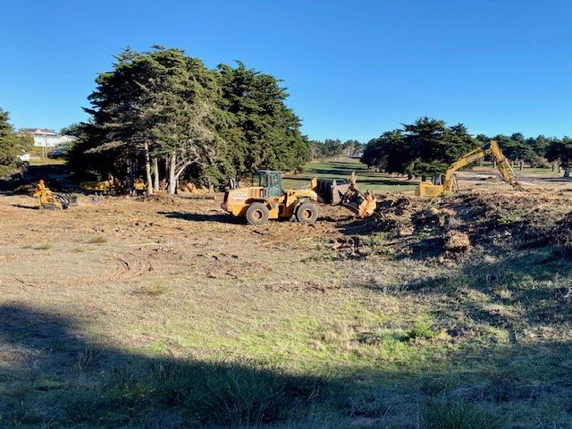 Heavy machinery clearing land near trees under a blue sky.