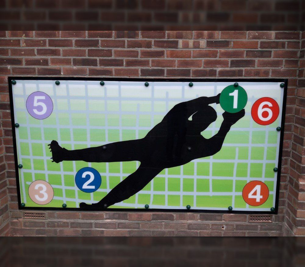Large playground goal