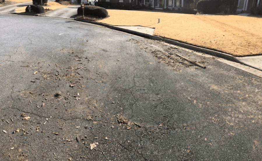 Job site after the log pick up and clean up of debris