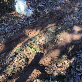 Pile of leaves and marks of the lawn tire