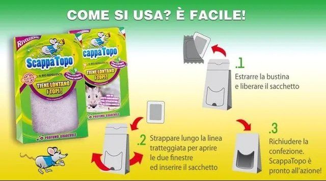 Locandina promozionale ScappaTopo
