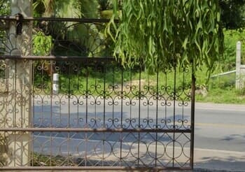 Automatic gate with tree behind it — Gate opener installation in Pasadena, TX Automatic gate with tree behind it — Gate opener installation in Pasadena, TX