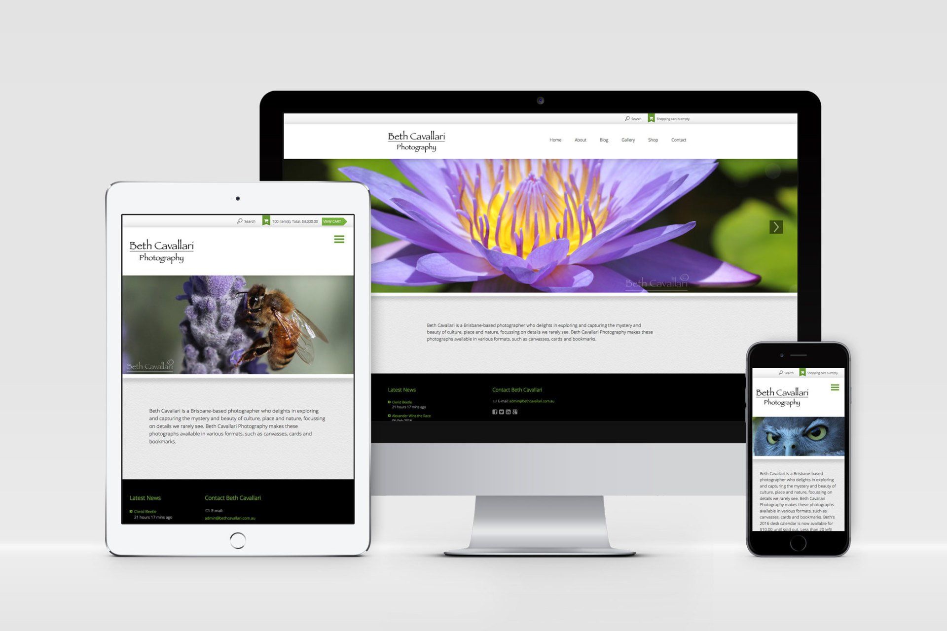 Beth Cavallari Photography Portfolio and eCommerce Website
