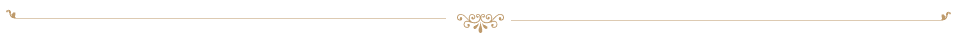 decorative line