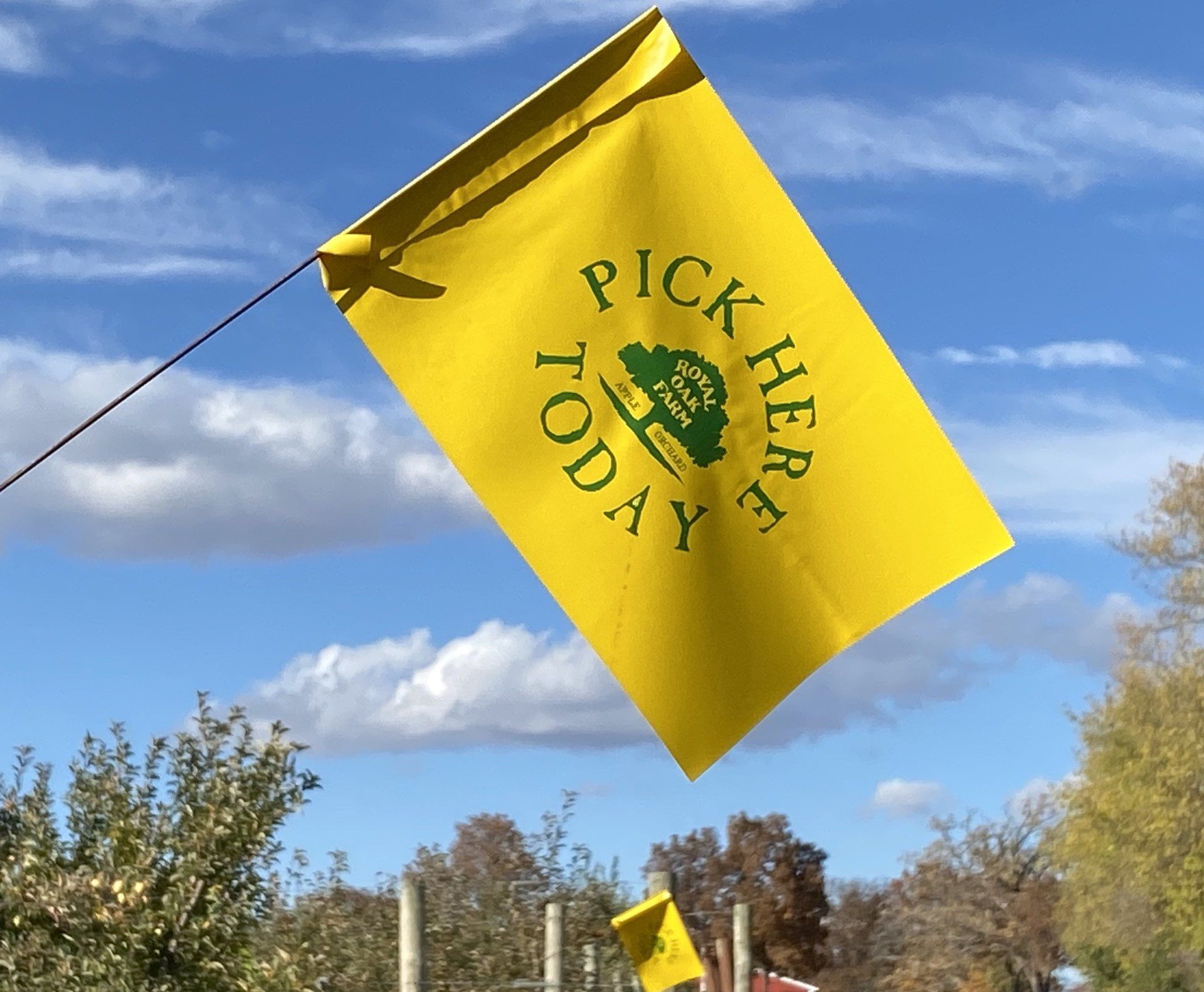 Pick Here Today Flag