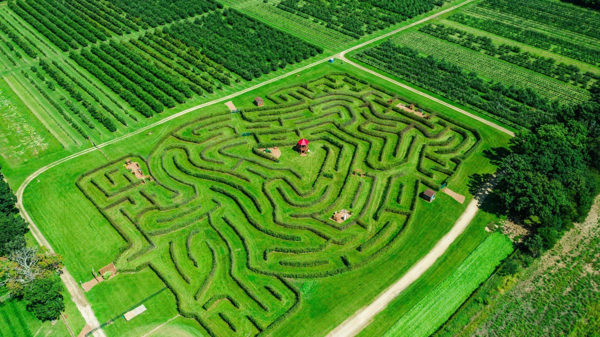 An aerial view of a large maze in a field.