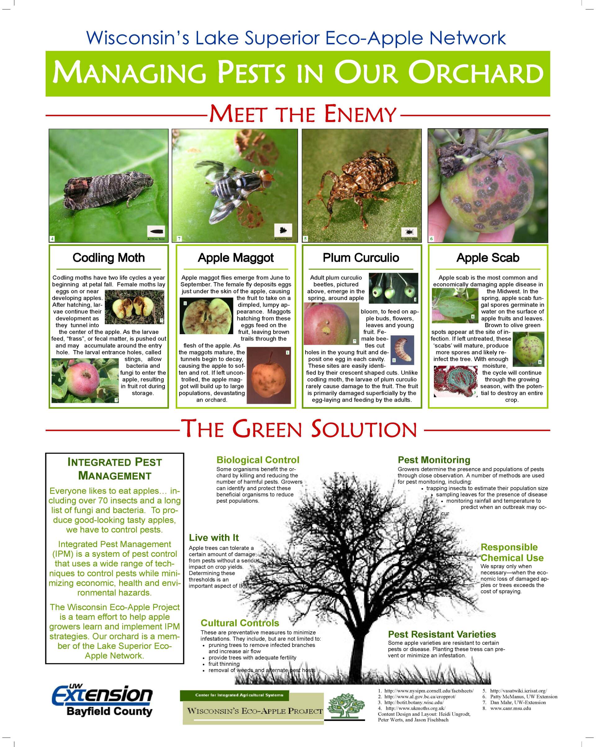 The four major pests of apples