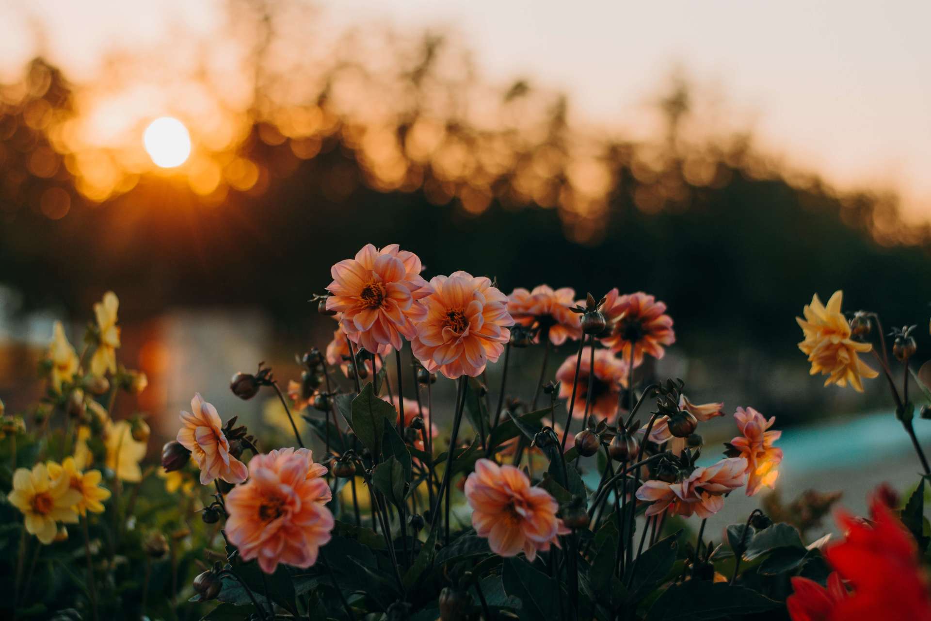 parkville MD cremation services