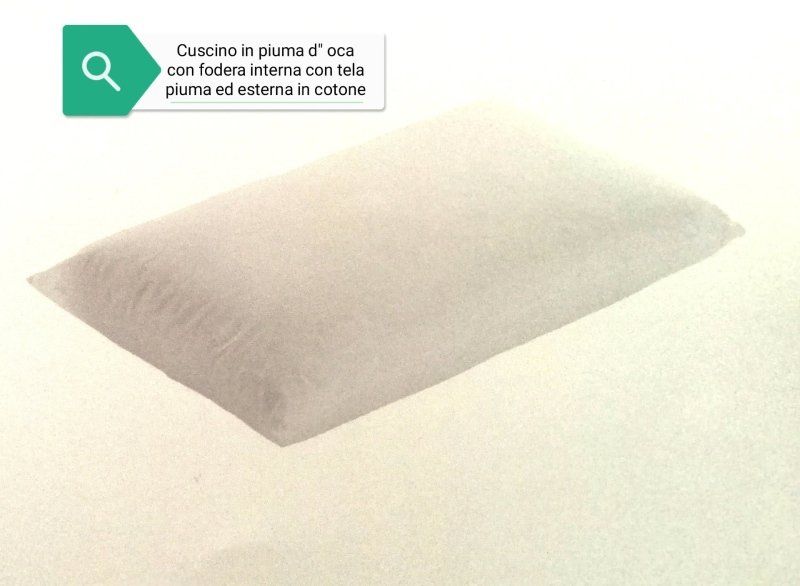 cuscino in piuma d'oca