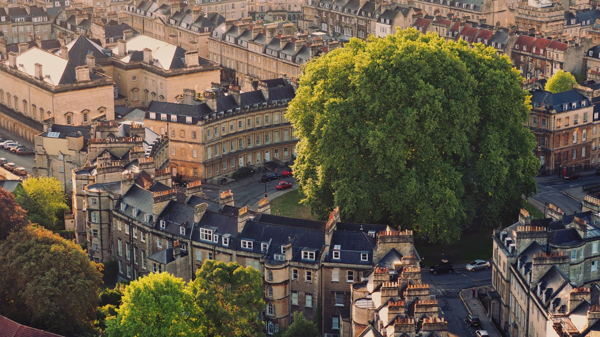 An aerial view of a city with a large tree in the middle of it.