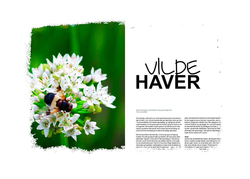 Artikel Vilde haver